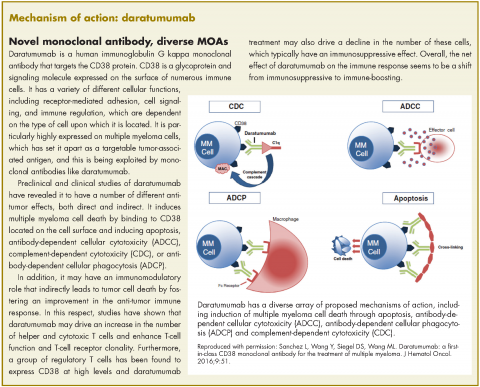 Sidebar and figure. Mechanism of action for daratumumab.